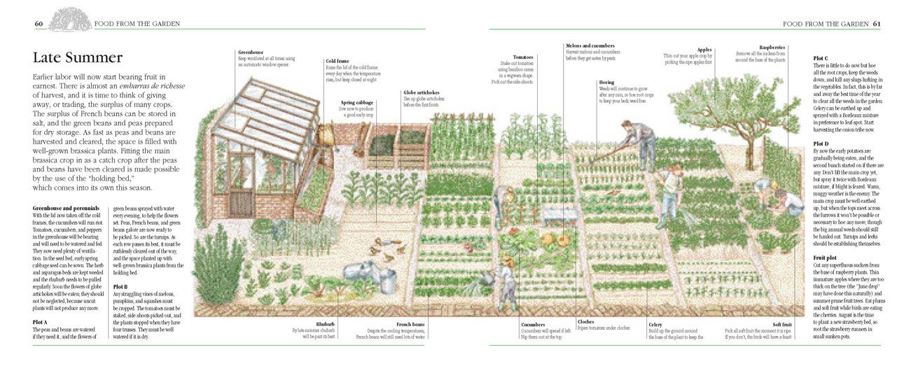 Layout of home garden