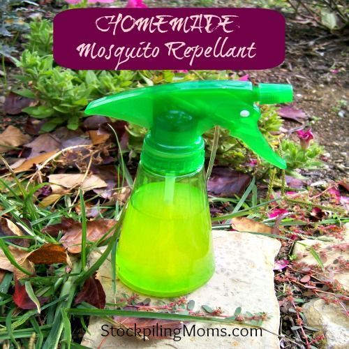 Natural plant bug spray recipe