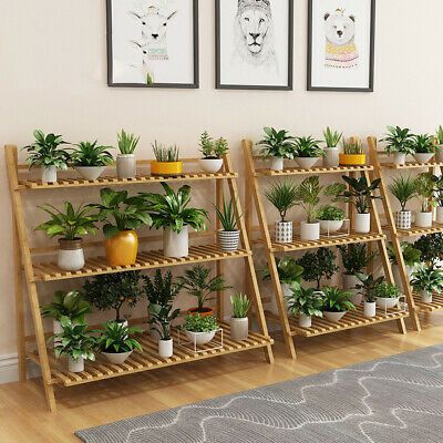 Indoor plant display