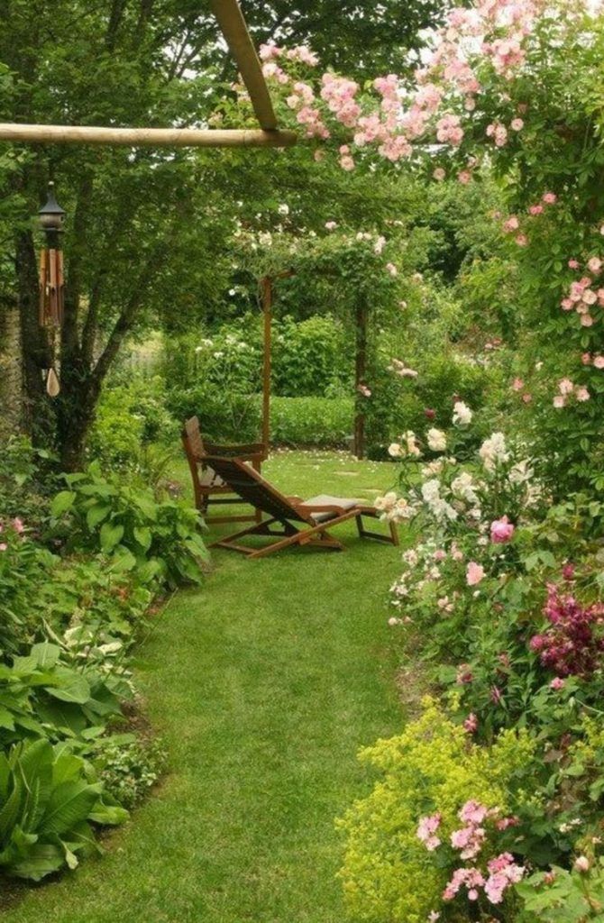 Beautiful trees for backyard