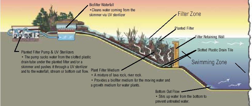 How much cost to build a swimming pool