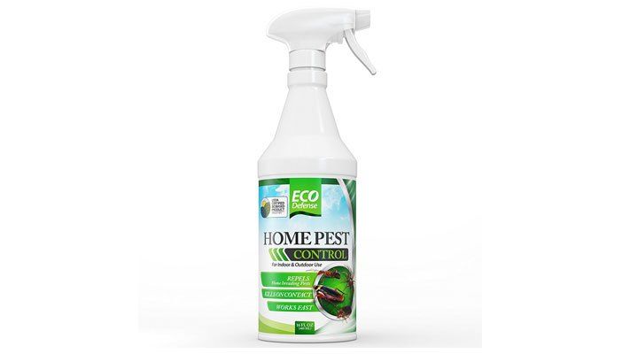 Organic bug repellent for plants