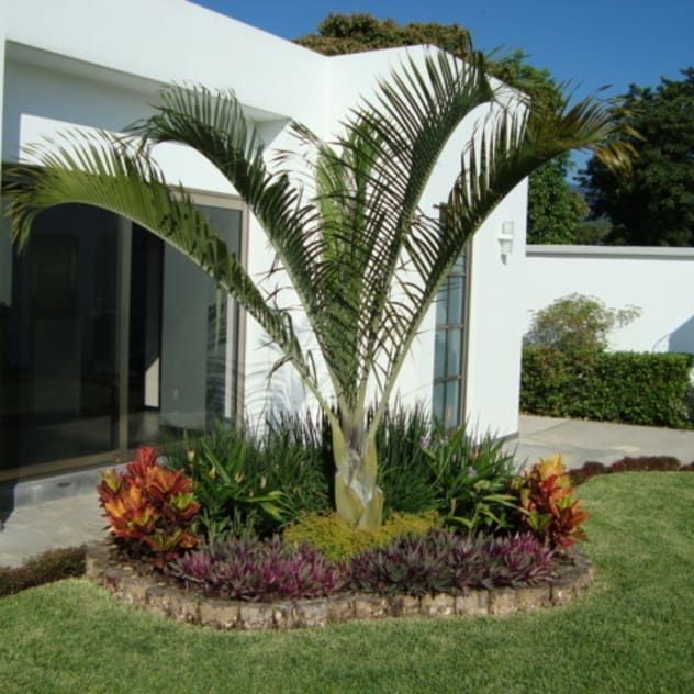 Small tropical garden design pictures