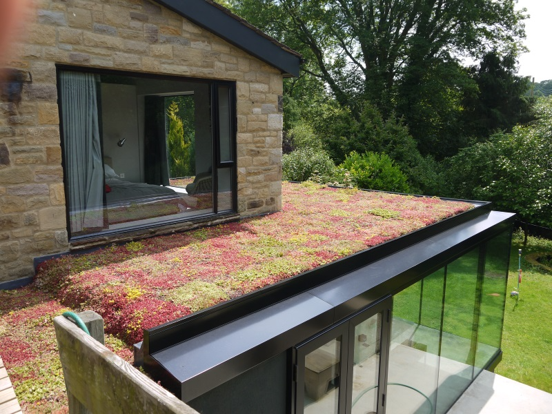 Flat roof garden ideas