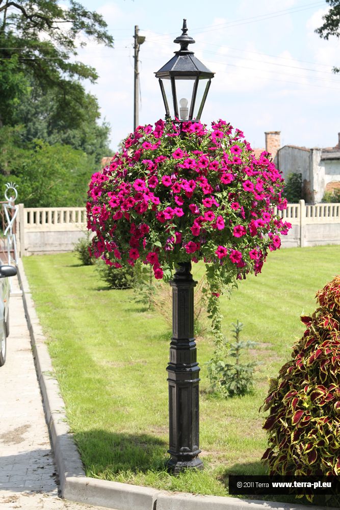 Front yard lamps