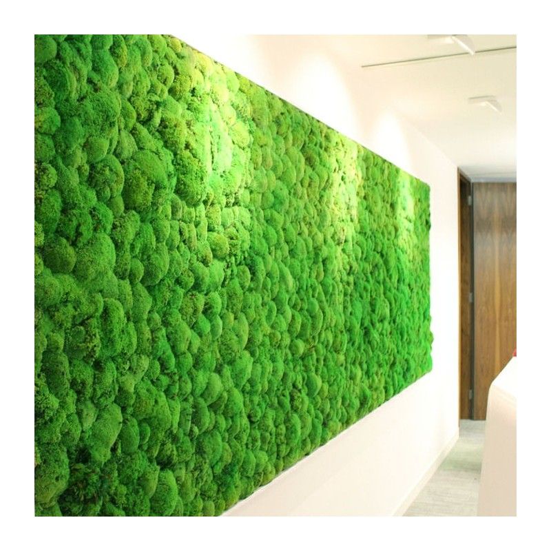 Tree box green wall