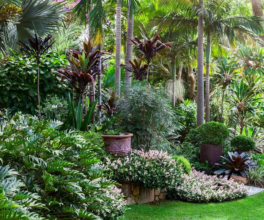 Tropical garden plant list