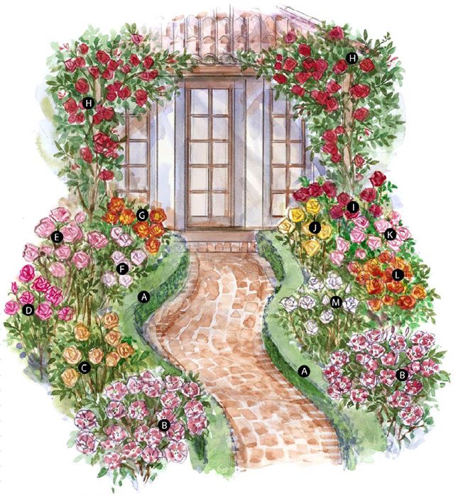 How to design a rose garden