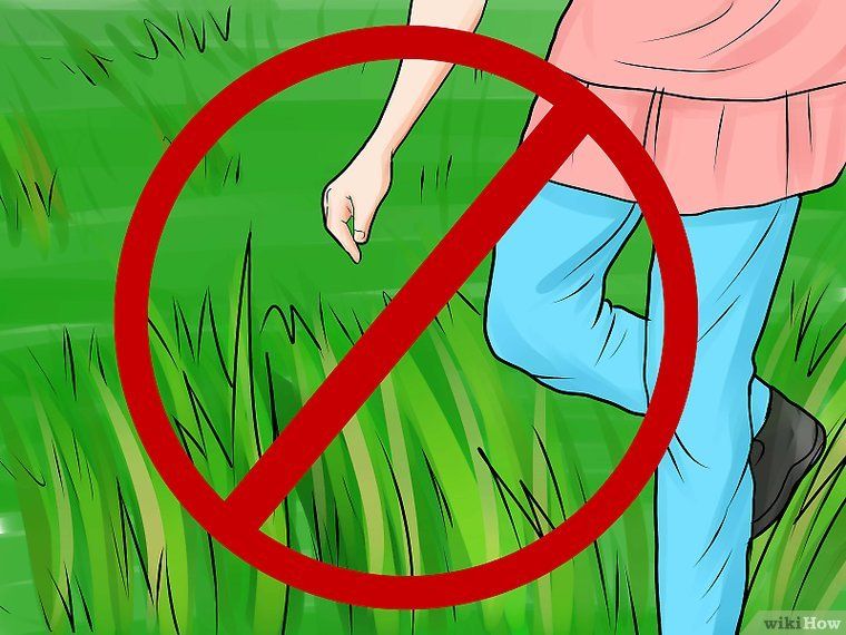 How to get rid of clovers in grass