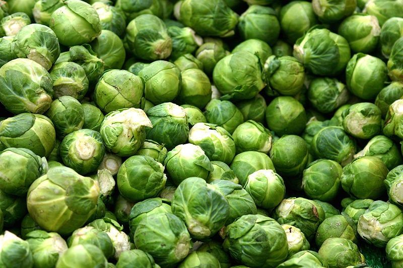 Brussel sprout pictures