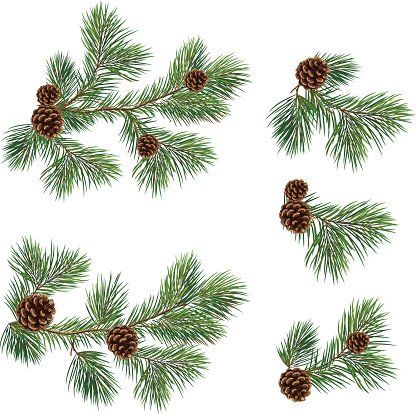 Christmas tree branch fillers