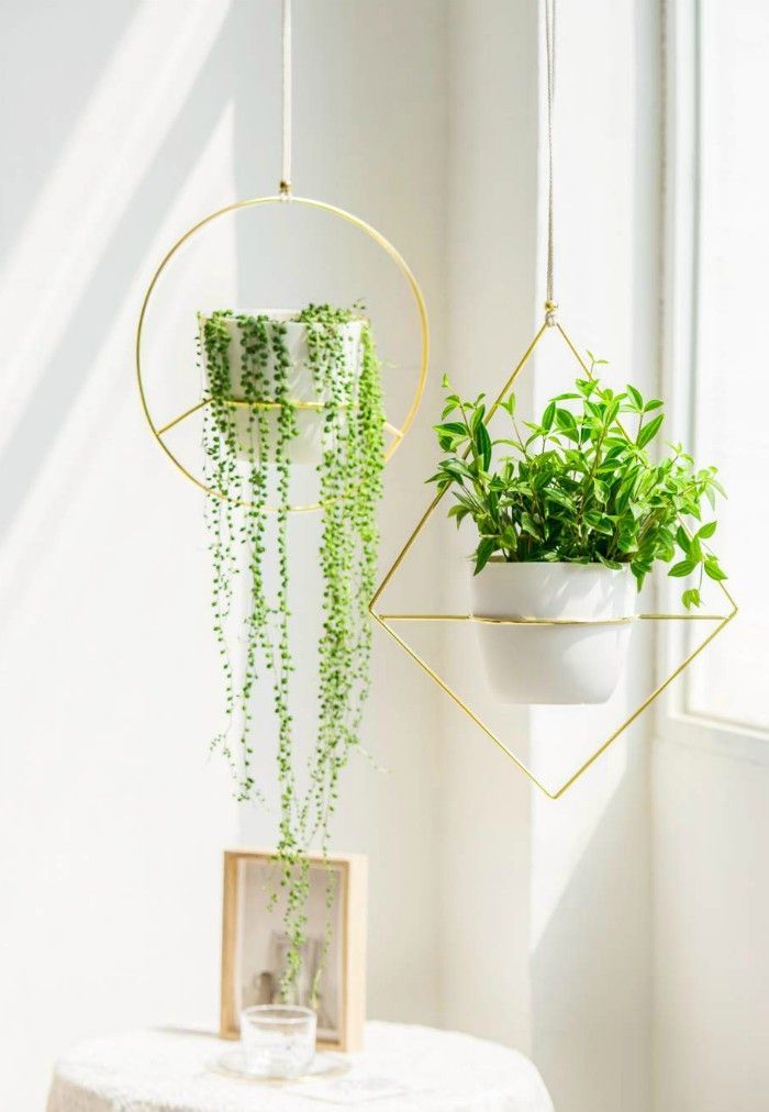 Best flowers for hanging planters