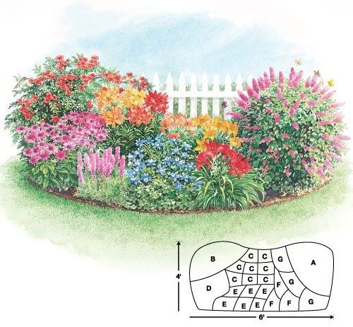 Cut flower garden plans