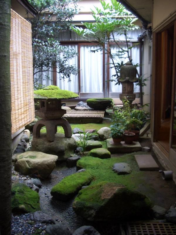 Ideas for a japanese garden