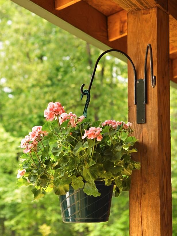 How to plant flowers in hanging baskets