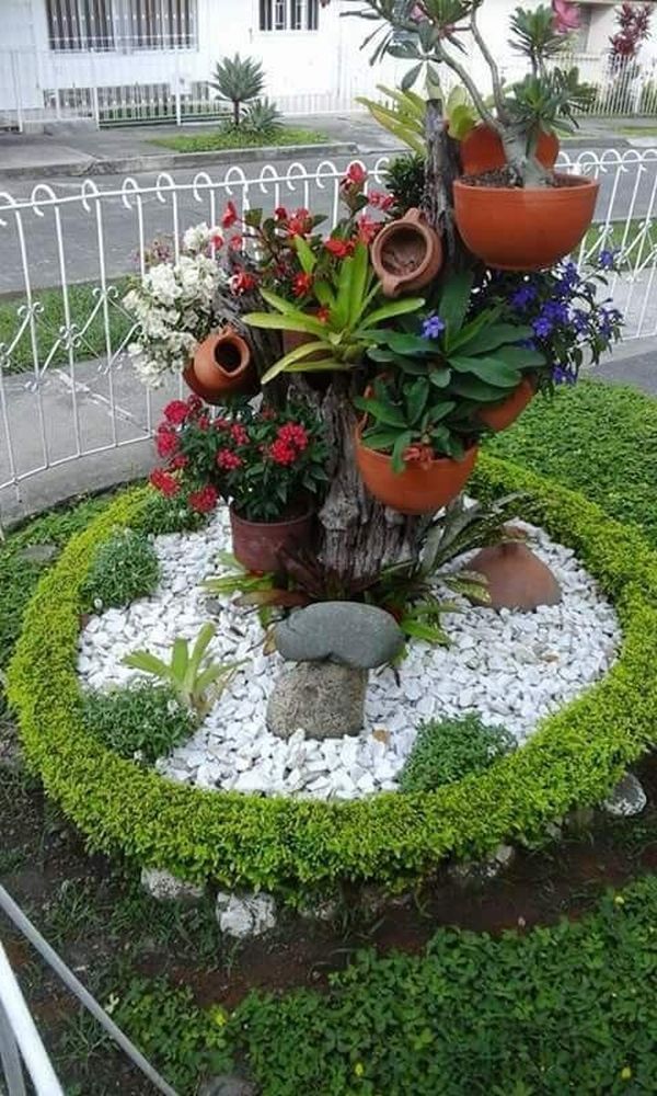 Amazing garden ideas