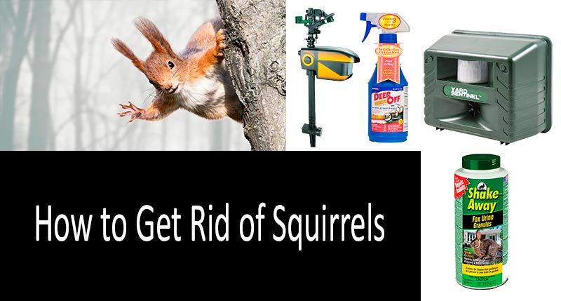 Natural way to deter squirrels