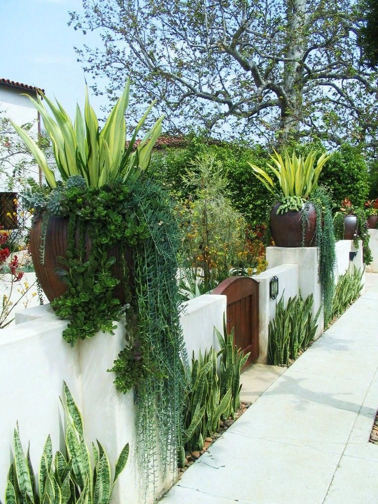 Small mediterranean garden ideas