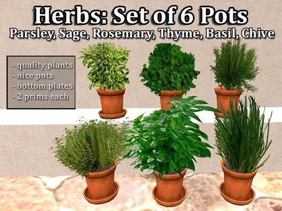 Herbaceous plant supports