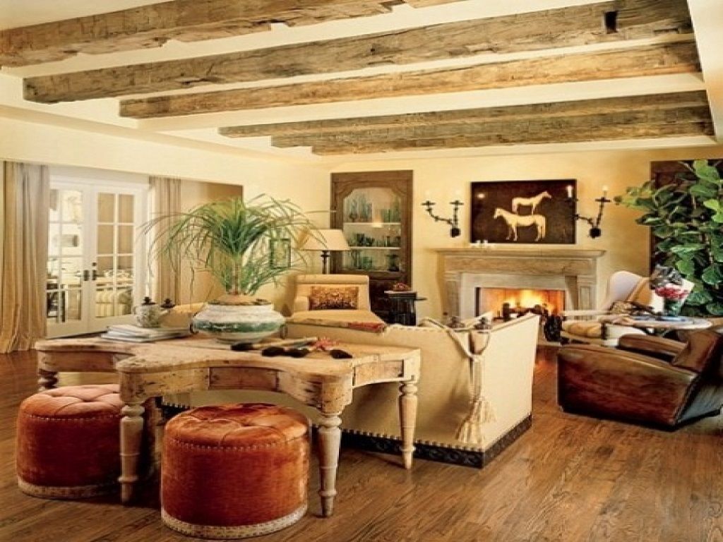 Rustic living room designs ideas