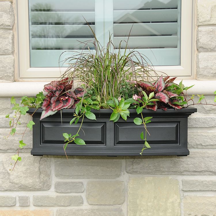 Herb window box ideas