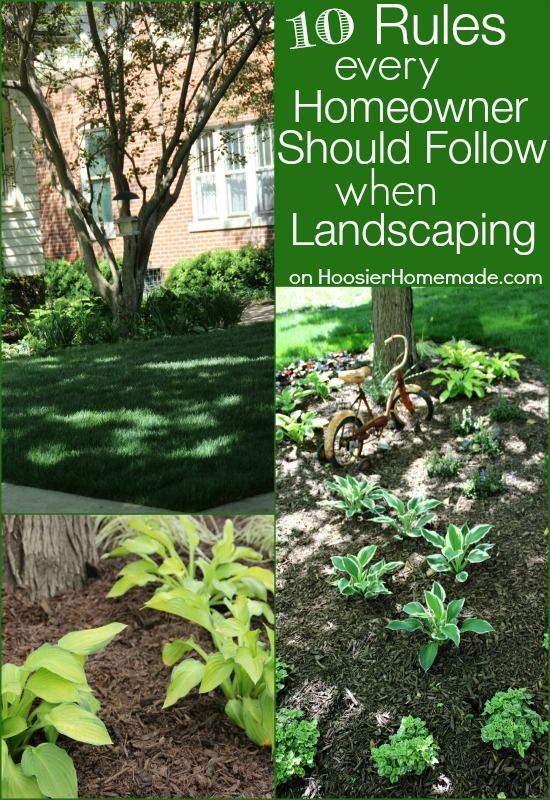 How much should landscaping cost