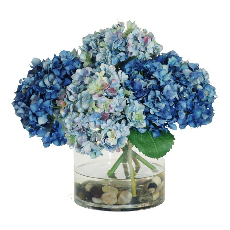 How to shape hydrangeas