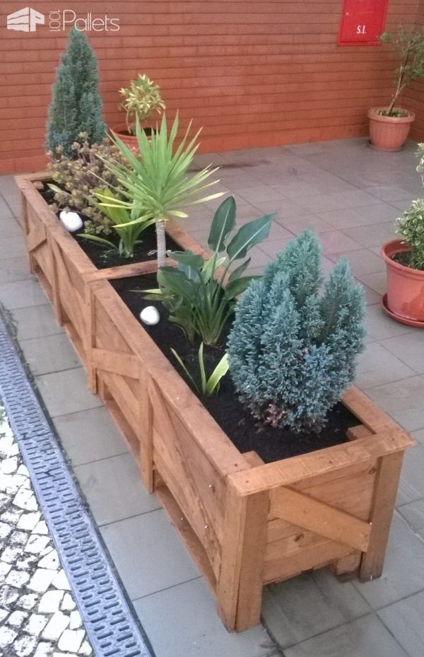 Patio planter trees