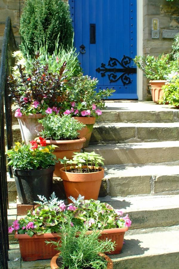 Garden design ideas for small spaces