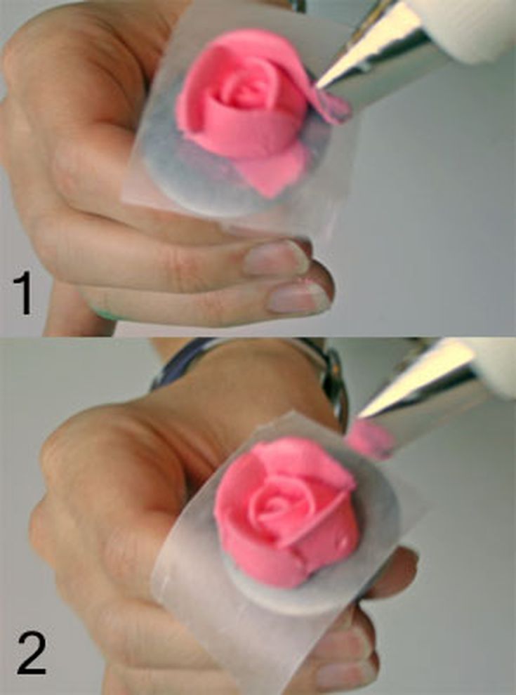 How to make a rose cutting