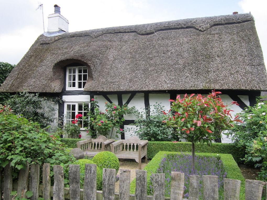 Thatched roofed cottages