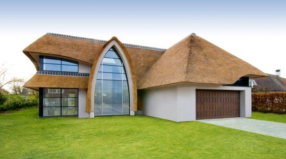 Thatch roof houses