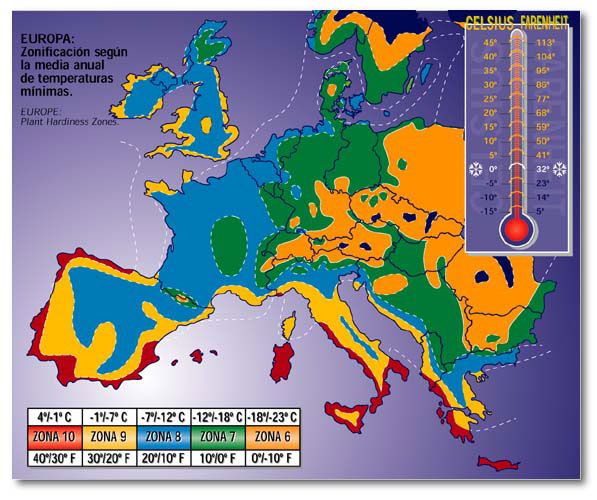 Plants for mediterranean climate