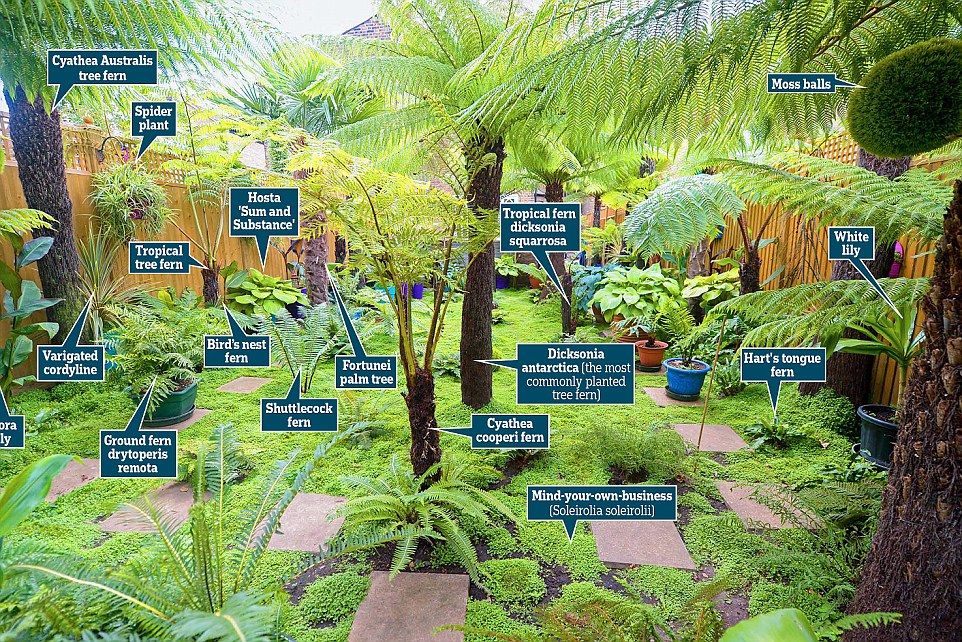 How to build a tropical garden