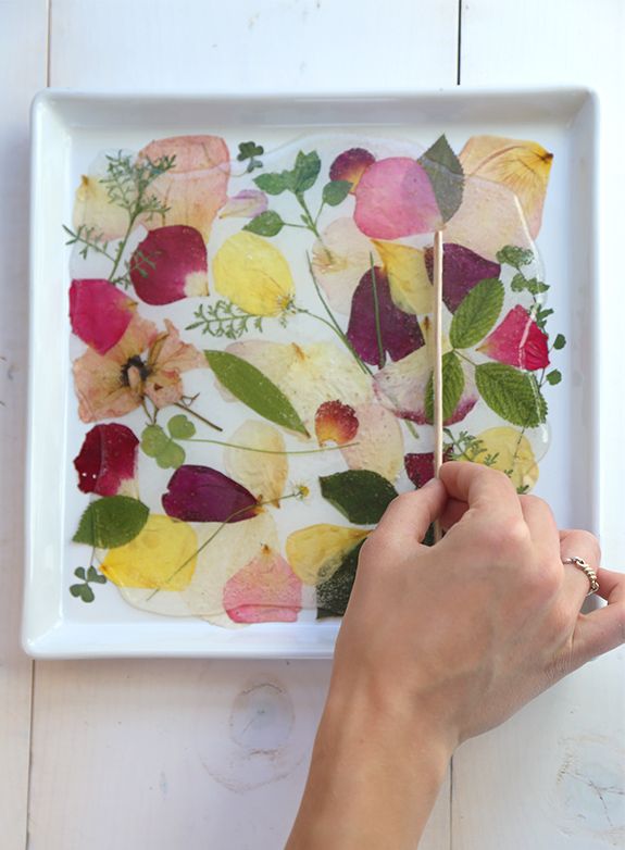 Best pressed flowers