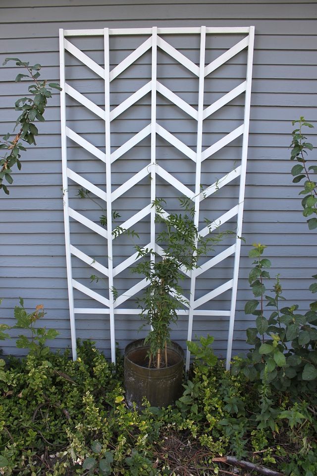 Garden trellis design