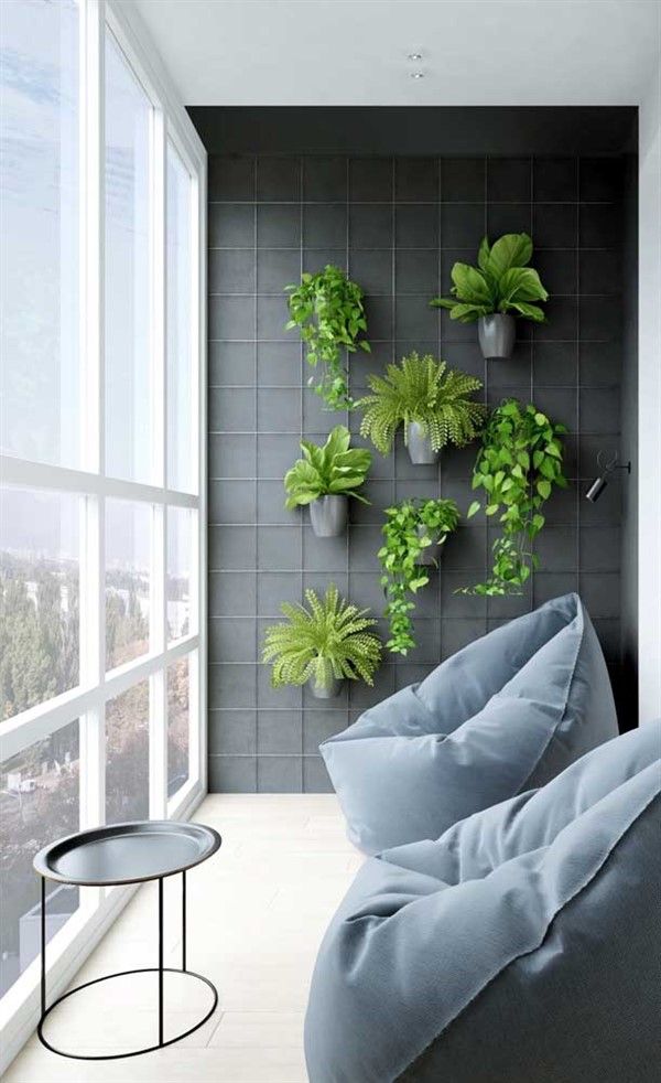 Plants ideas for balcony