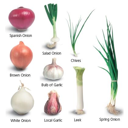 What to plant with onions