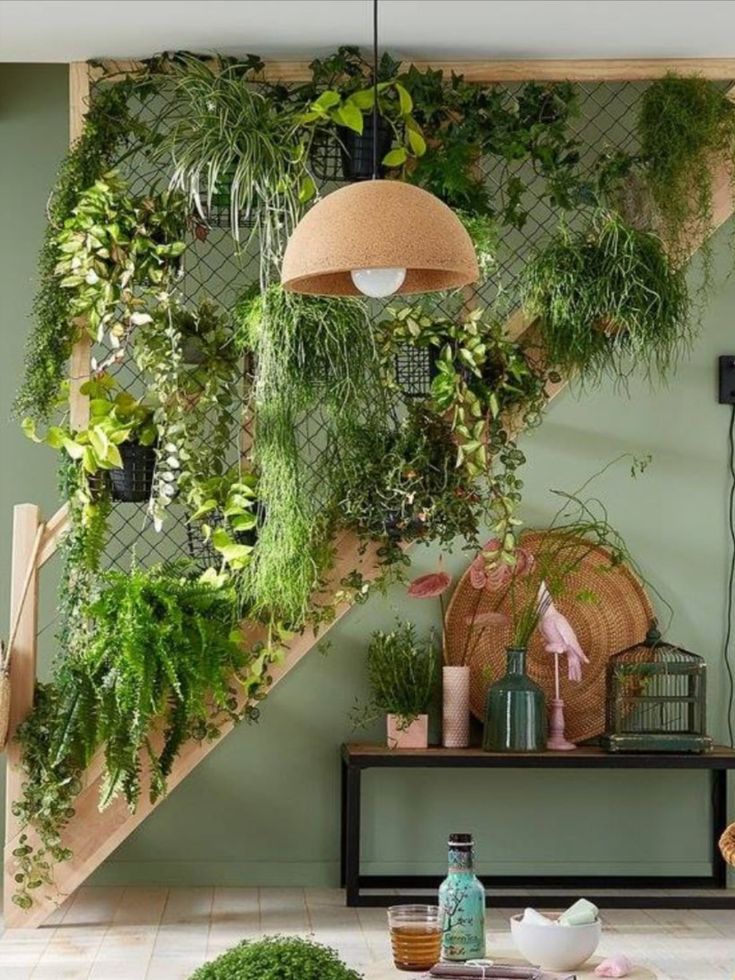 Plants decoration ideas at home