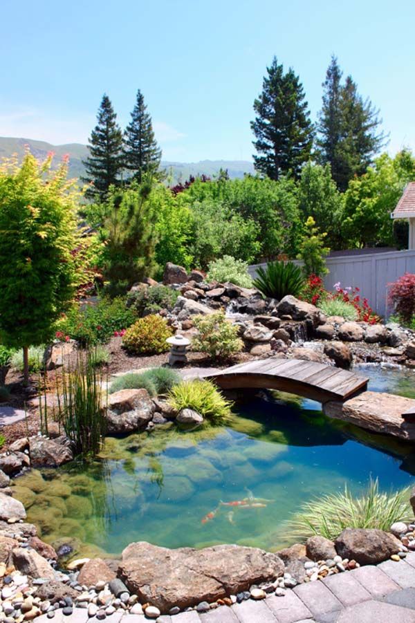 Landscape your backyard