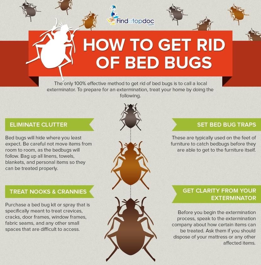 How to get rid of bugs on plants