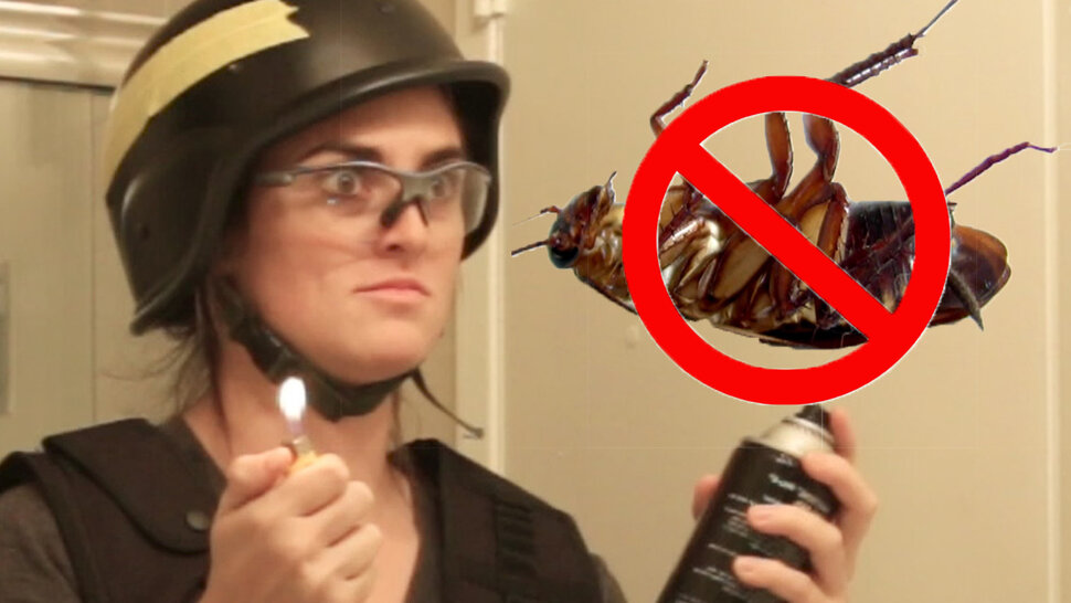 How to kill a cockroach fast