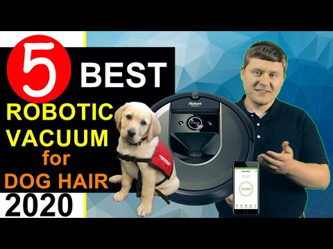 Best dog hair vacuum 2023