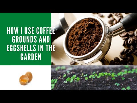 Add coffee grounds to soil