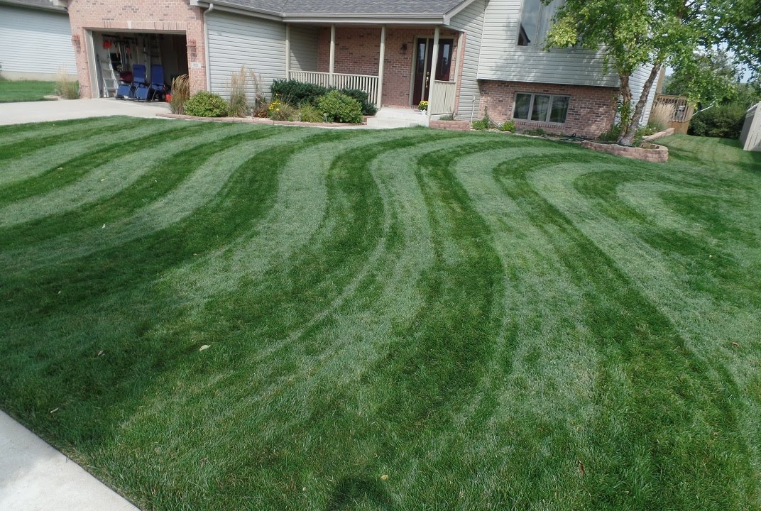 Sugar for lawn