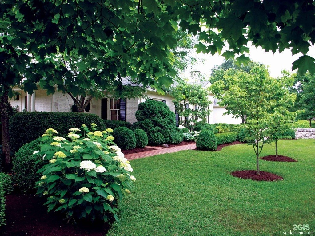 Landscaping under large trees