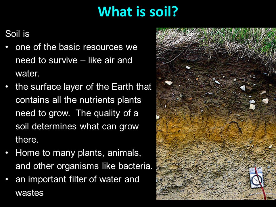 What type of soils are there