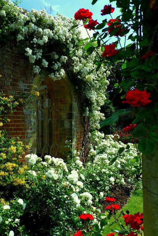 Beautiful rose gardens