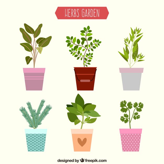 Herbal garden designs