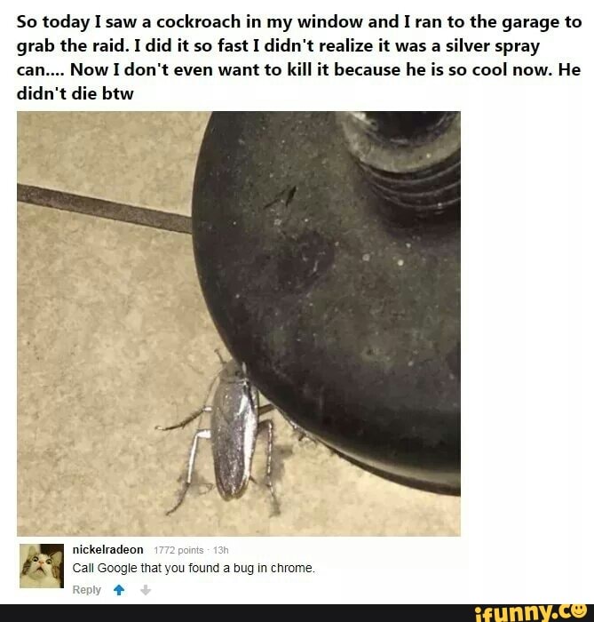 How to kill a cockroach fast